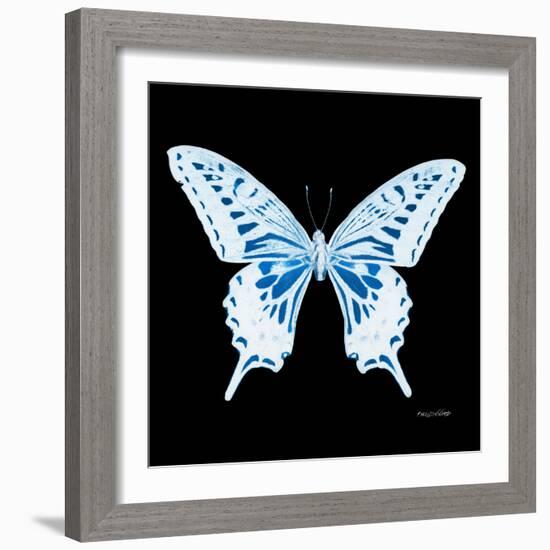 Miss Butterfly Xuthus Sq - X Ray Black Edition-Philippe Hugonnard-Framed Photographic Print