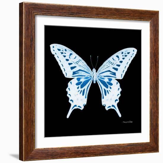 Miss Butterfly Xuthus Sq - X Ray Black Edition-Philippe Hugonnard-Framed Photographic Print