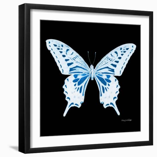 Miss Butterfly Xuthus Sq - X Ray Black Edition-Philippe Hugonnard-Framed Photographic Print
