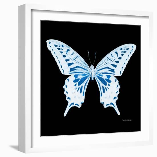 Miss Butterfly Xuthus Sq - X Ray Black Edition-Philippe Hugonnard-Framed Photographic Print