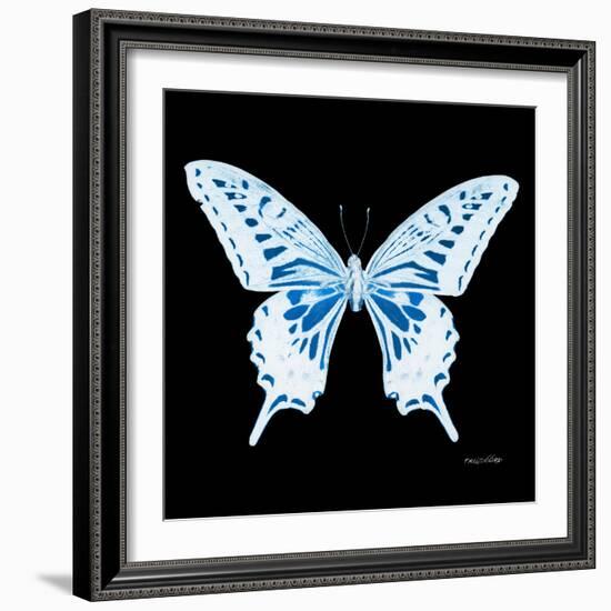 Miss Butterfly Xuthus Sq - X Ray Black Edition-Philippe Hugonnard-Framed Photographic Print