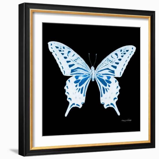 Miss Butterfly Xuthus Sq - X Ray Black Edition-Philippe Hugonnard-Framed Photographic Print