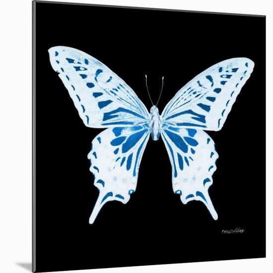 Miss Butterfly Xuthus Sq - X Ray Black Edition-Philippe Hugonnard-Mounted Premium Photographic Print