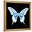 Miss Butterfly Xuthus Sq - X Ray Black Edition-Philippe Hugonnard-Framed Stretched Canvas