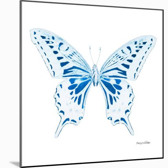 Miss Butterfly Xuthus Sq - X Ray White Edition-Philippe Hugonnard-Mounted Premium Photographic Print
