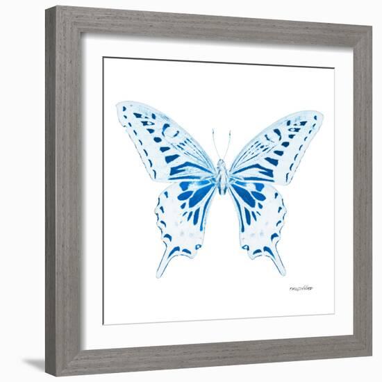 Miss Butterfly Xuthus Sq - X Ray White Edition-Philippe Hugonnard-Framed Photographic Print