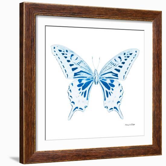 Miss Butterfly Xuthus Sq - X Ray White Edition-Philippe Hugonnard-Framed Photographic Print