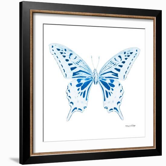 Miss Butterfly Xuthus Sq - X Ray White Edition-Philippe Hugonnard-Framed Photographic Print