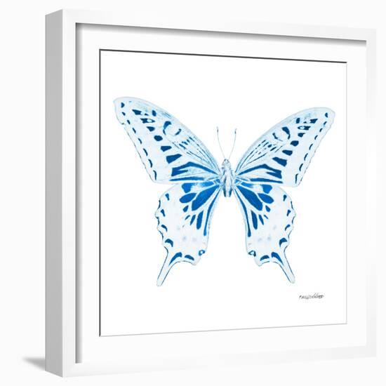 Miss Butterfly Xuthus Sq - X Ray White Edition-Philippe Hugonnard-Framed Photographic Print