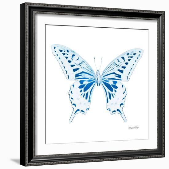 Miss Butterfly Xuthus Sq - X Ray White Edition-Philippe Hugonnard-Framed Photographic Print