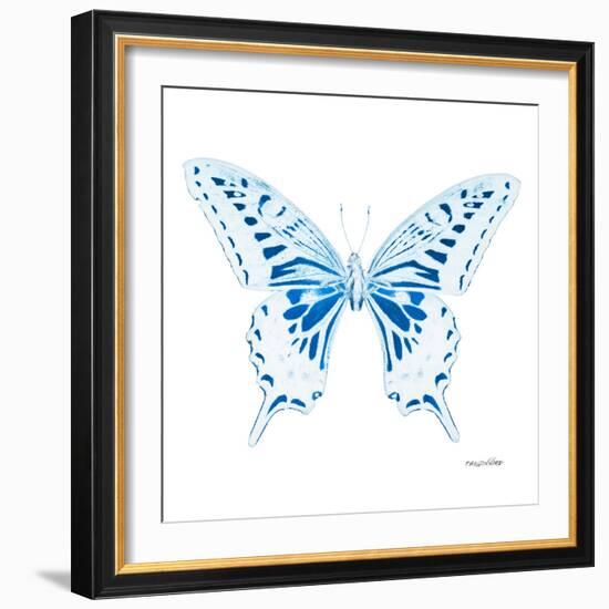 Miss Butterfly Xuthus Sq - X Ray White Edition-Philippe Hugonnard-Framed Photographic Print