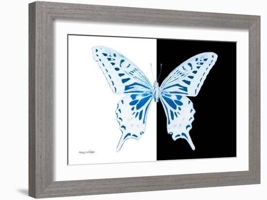 Miss Butterfly Xuthus - X Ray B&W Edition-Philippe Hugonnard-Framed Photographic Print