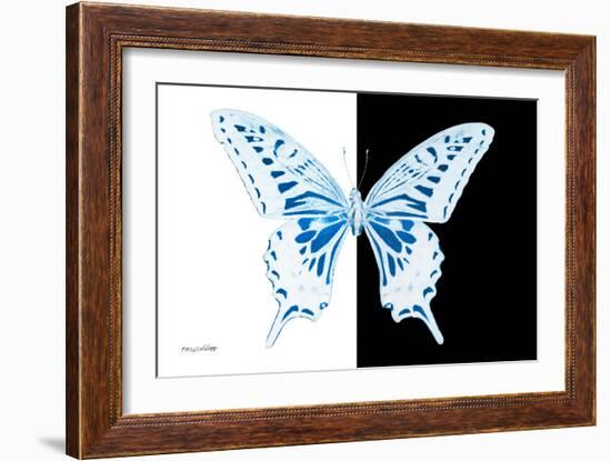 Miss Butterfly Xuthus - X Ray B&W Edition-Philippe Hugonnard-Framed Photographic Print