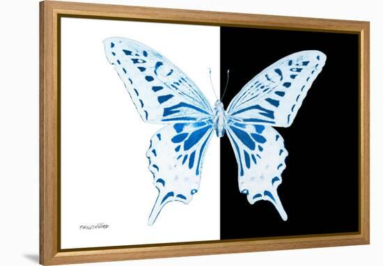 Miss Butterfly Xuthus - X Ray B&W Edition-Philippe Hugonnard-Framed Premier Image Canvas