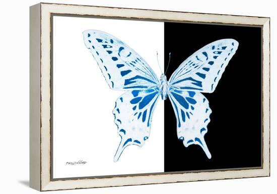 Miss Butterfly Xuthus - X Ray B&W Edition-Philippe Hugonnard-Framed Premier Image Canvas