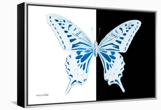 Miss Butterfly Xuthus - X Ray B&W Edition-Philippe Hugonnard-Framed Premier Image Canvas