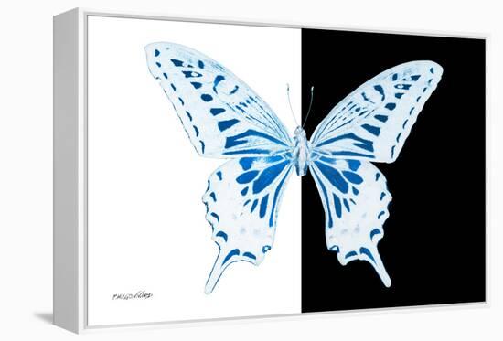 Miss Butterfly Xuthus - X Ray B&W Edition-Philippe Hugonnard-Framed Premier Image Canvas