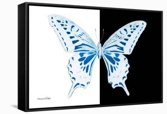 Miss Butterfly Xuthus - X Ray B&W Edition-Philippe Hugonnard-Framed Stretched Canvas