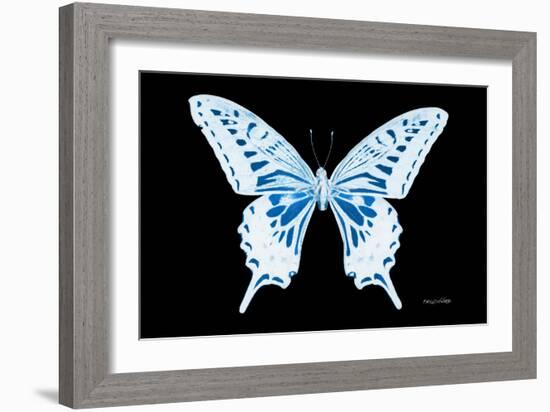 Miss Butterfly Xuthus - X Ray Black Edition-Philippe Hugonnard-Framed Photographic Print