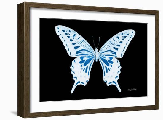 Miss Butterfly Xuthus - X Ray Black Edition-Philippe Hugonnard-Framed Photographic Print