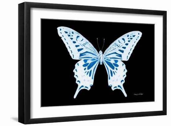 Miss Butterfly Xuthus - X Ray Black Edition-Philippe Hugonnard-Framed Photographic Print