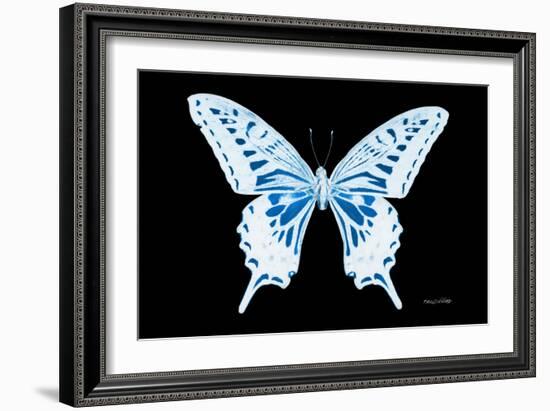 Miss Butterfly Xuthus - X Ray Black Edition-Philippe Hugonnard-Framed Photographic Print