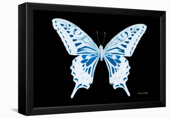 Miss Butterfly Xuthus - X Ray Black Edition-Philippe Hugonnard-Framed Premier Image Canvas