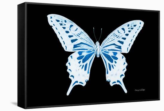 Miss Butterfly Xuthus - X Ray Black Edition-Philippe Hugonnard-Framed Stretched Canvas