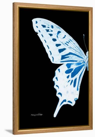 Miss Butterfly Xuthus - X Ray Left Black Edition-Philippe Hugonnard-Framed Premier Image Canvas