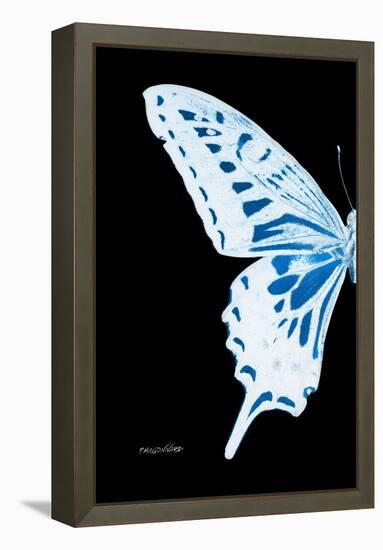 Miss Butterfly Xuthus - X Ray Left Black Edition-Philippe Hugonnard-Framed Premier Image Canvas