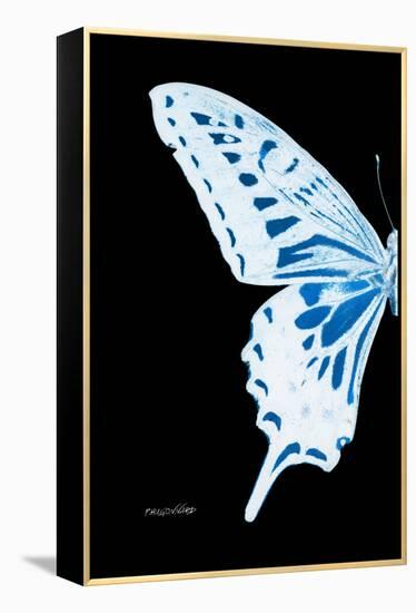 Miss Butterfly Xuthus - X Ray Left Black Edition-Philippe Hugonnard-Framed Premier Image Canvas