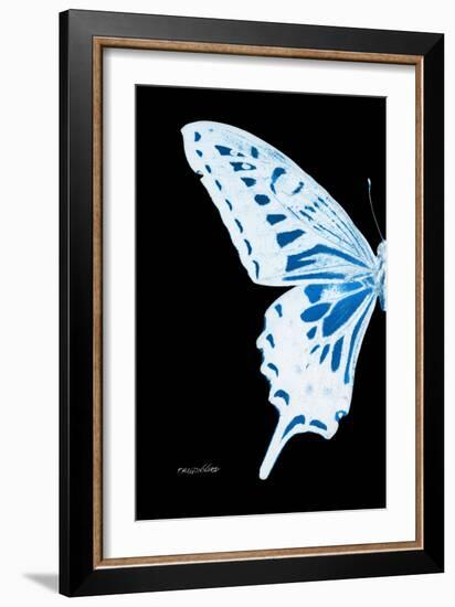 Miss Butterfly Xuthus - X Ray Left Black Edition-Philippe Hugonnard-Framed Photographic Print