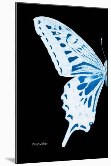 Miss Butterfly Xuthus - X Ray Left Black Edition-Philippe Hugonnard-Mounted Photographic Print