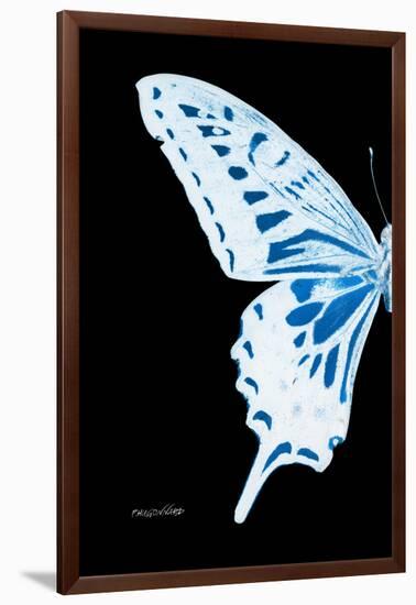 Miss Butterfly Xuthus - X Ray Left Black Edition-Philippe Hugonnard-Framed Premium Photographic Print