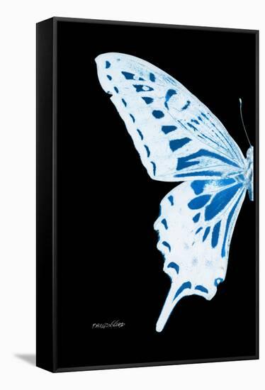 Miss Butterfly Xuthus - X Ray Left Black Edition-Philippe Hugonnard-Framed Stretched Canvas