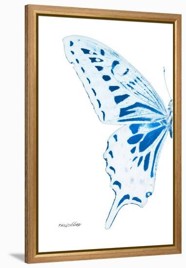 Miss Butterfly Xuthus - X Ray Left White Edition-Philippe Hugonnard-Framed Premier Image Canvas