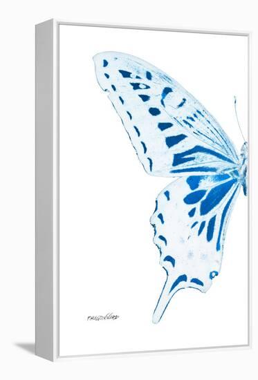 Miss Butterfly Xuthus - X Ray Left White Edition-Philippe Hugonnard-Framed Premier Image Canvas