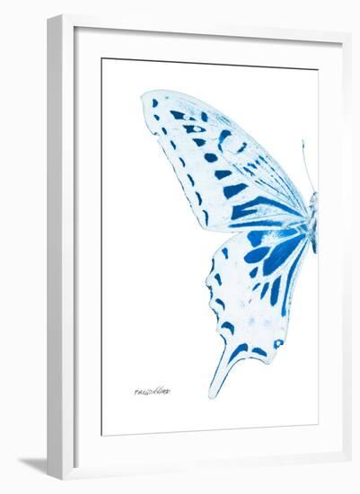 Miss Butterfly Xuthus - X Ray Left White Edition-Philippe Hugonnard-Framed Photographic Print