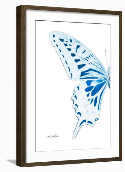 Miss Butterfly Xuthus - X Ray Left White Edition-Philippe Hugonnard-Framed Photographic Print