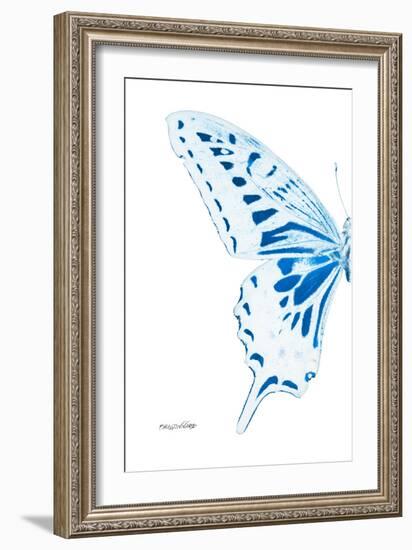 Miss Butterfly Xuthus - X Ray Left White Edition-Philippe Hugonnard-Framed Photographic Print