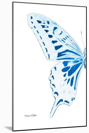 Miss Butterfly Xuthus - X Ray Left White Edition-Philippe Hugonnard-Mounted Photographic Print
