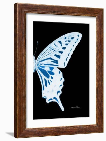 Miss Butterfly Xuthus - X Ray Right Black Edition-Philippe Hugonnard-Framed Photographic Print