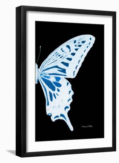 Miss Butterfly Xuthus - X Ray Right Black Edition-Philippe Hugonnard-Framed Photographic Print