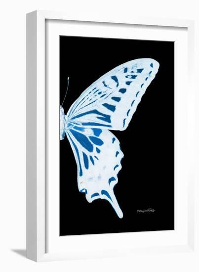 Miss Butterfly Xuthus - X Ray Right Black Edition-Philippe Hugonnard-Framed Photographic Print