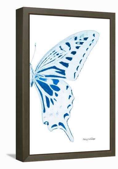 Miss Butterfly Xuthus - X Ray Right White Edition-Philippe Hugonnard-Framed Premier Image Canvas