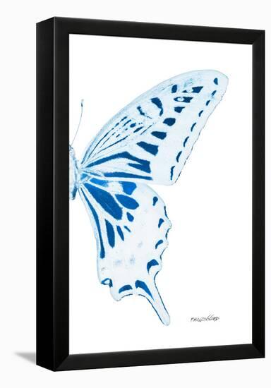 Miss Butterfly Xuthus - X Ray Right White Edition-Philippe Hugonnard-Framed Premier Image Canvas