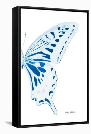 Miss Butterfly Xuthus - X Ray Right White Edition-Philippe Hugonnard-Framed Premier Image Canvas