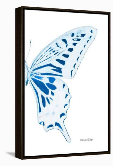 Miss Butterfly Xuthus - X Ray Right White Edition-Philippe Hugonnard-Framed Premier Image Canvas