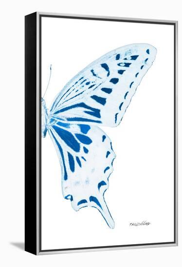 Miss Butterfly Xuthus - X Ray Right White Edition-Philippe Hugonnard-Framed Premier Image Canvas