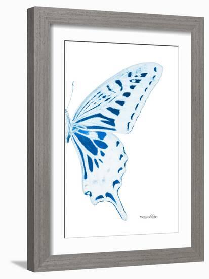 Miss Butterfly Xuthus - X Ray Right White Edition-Philippe Hugonnard-Framed Photographic Print